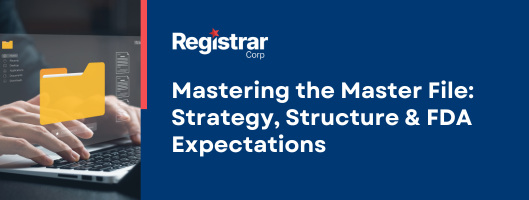 Mastering the Master File: Strategy, Structure & FDA Expectations